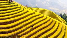 Capture the vibrant beauty of Vietnam with a visa for Italian travelers